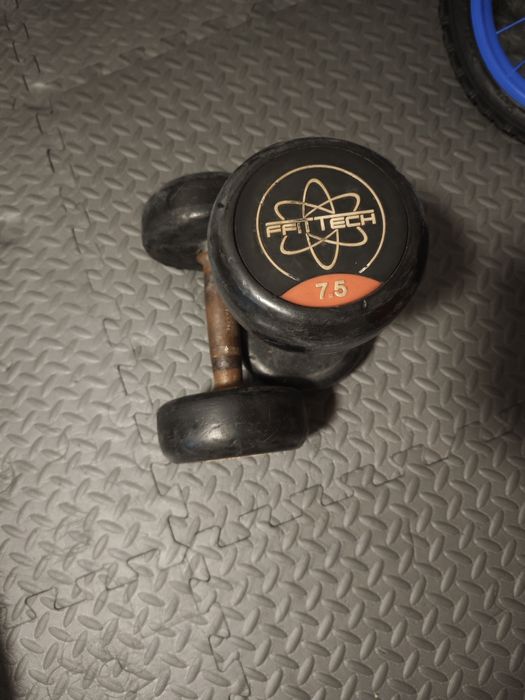 Halteres Fittech 2x7,5kg