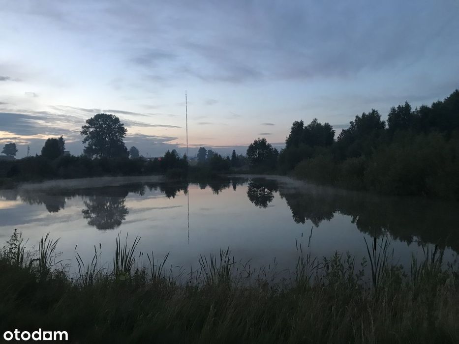 Sprzedaż działki 4500 m² ze stawem pod rezydencję lud do podziału