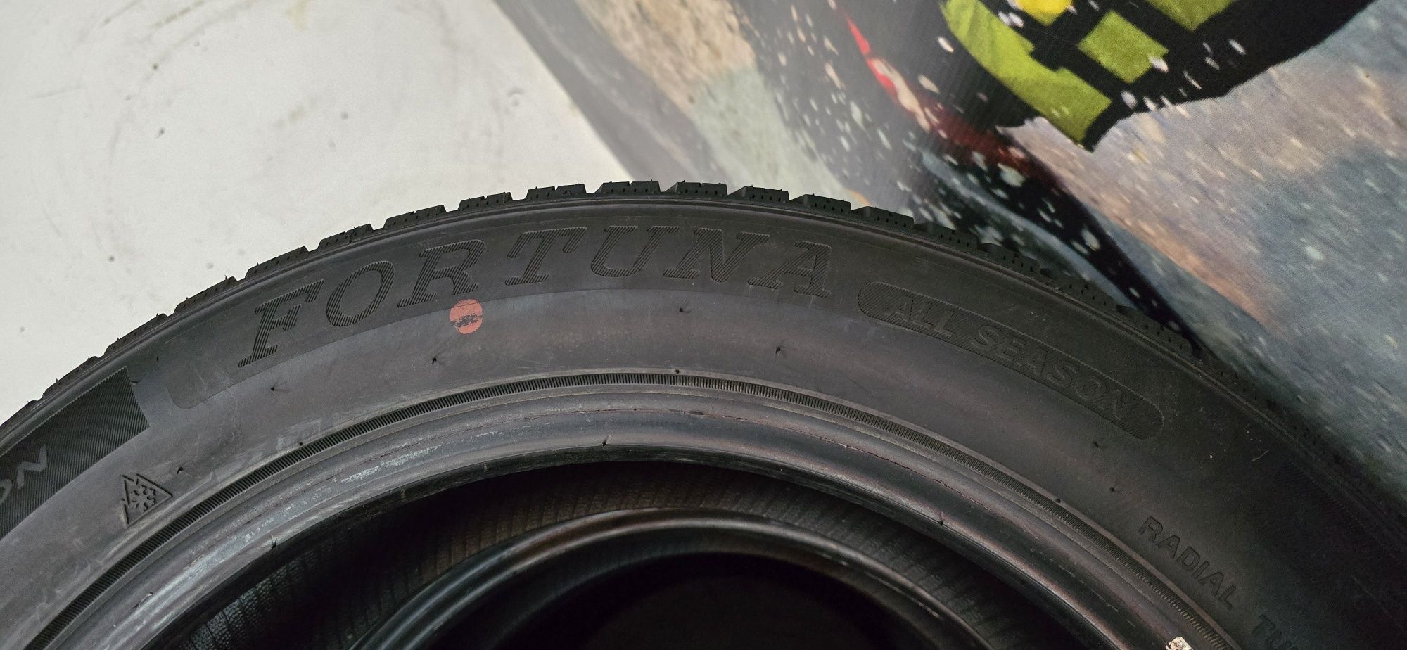 E23 4 x 225/50r17 Fortuna Ecoplus 2 4S 98W XL opony wielosezonowe demo