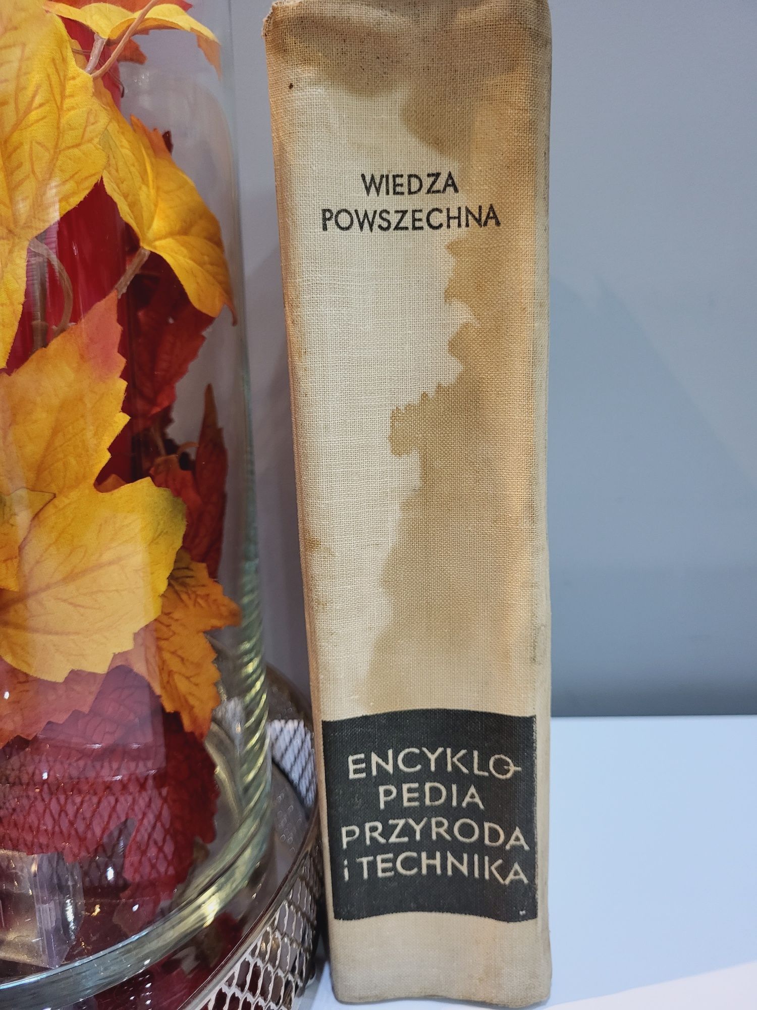 Encyklopedia Przyroda i Technika