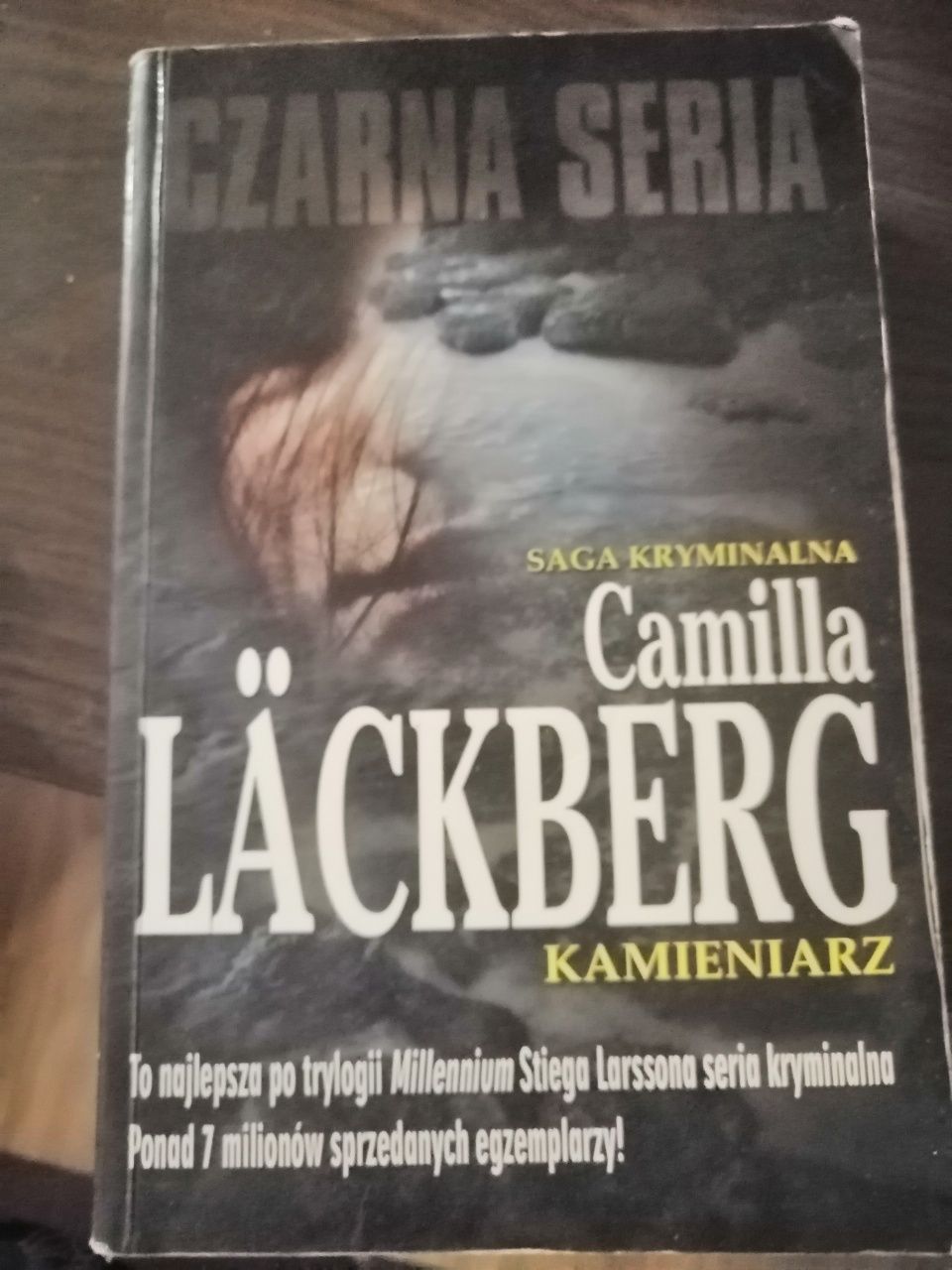 Camilla Lackberg - Kamieniarz