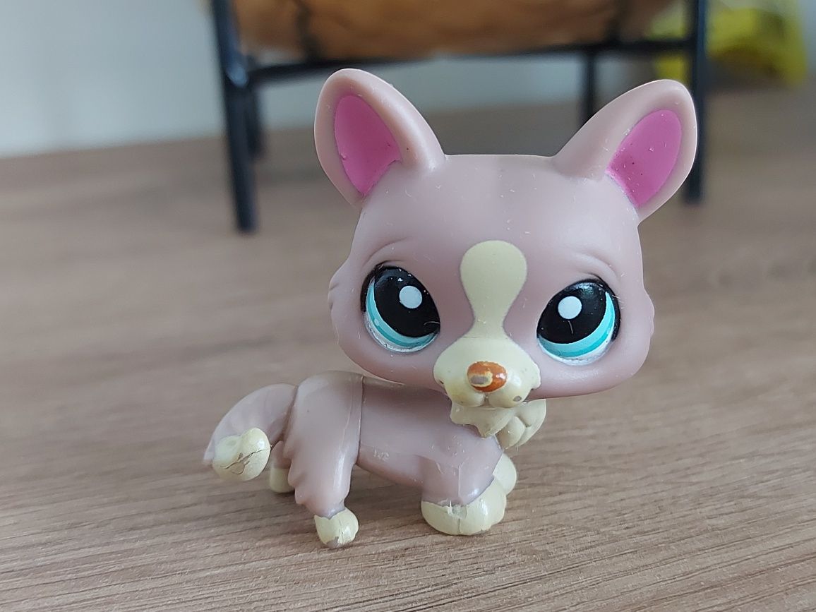 Figurka Littlest Pet Shop LPS pies piesek Corgi Hasbro 2007