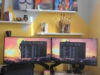 monitory omen 25i