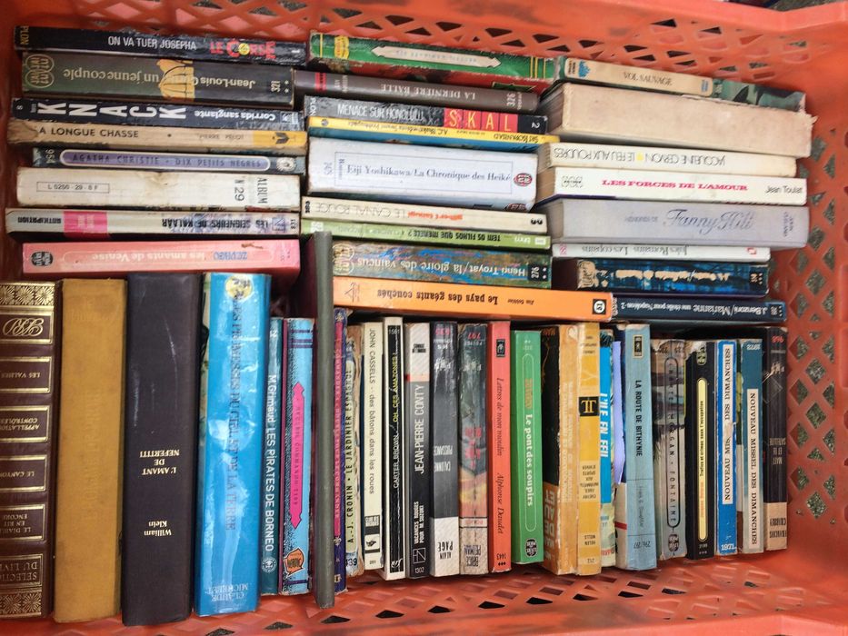 Livros em língua francesa