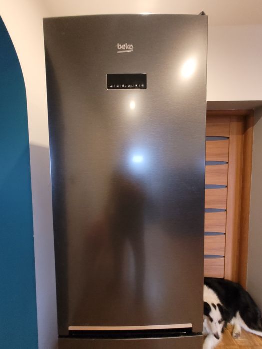 Lodówka Beko uszkodzona