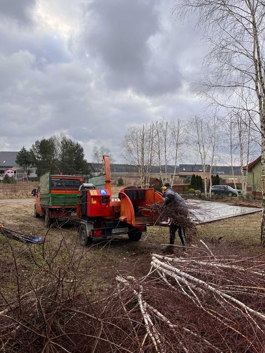 Czyszczenie działek / karczowanie / koszenie trawy / Usługa rębakiem