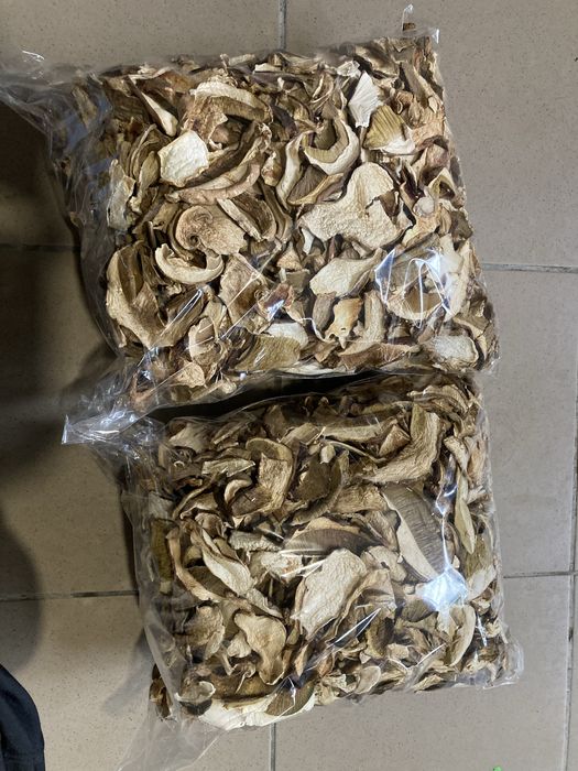 Карпацькі грибочки цьогорічні