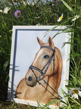 obraz portret konia