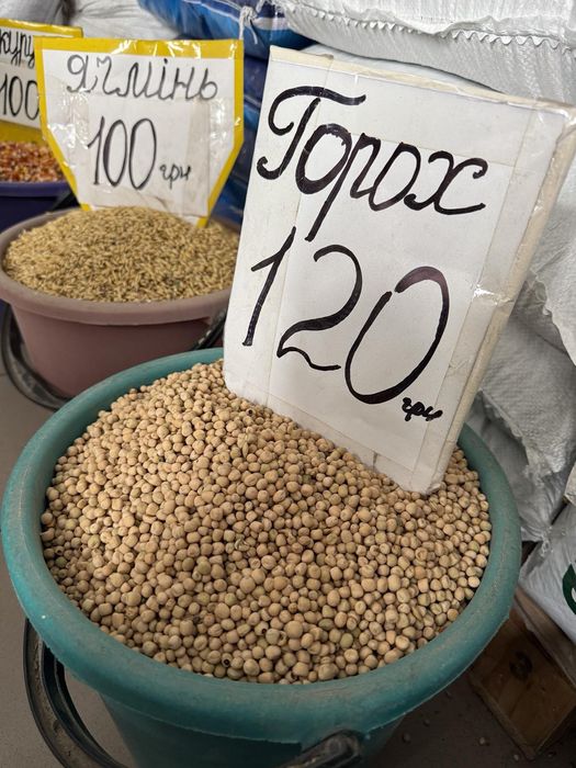 Горох фураж до 1 тонни НЕ на посів, кукурудза, пшениця ячмінь ячмень