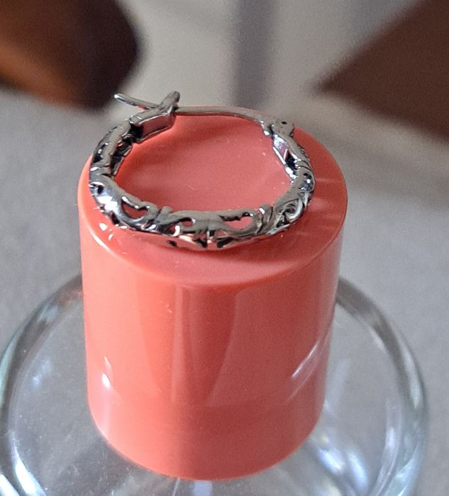 Brincos argolas prateadas