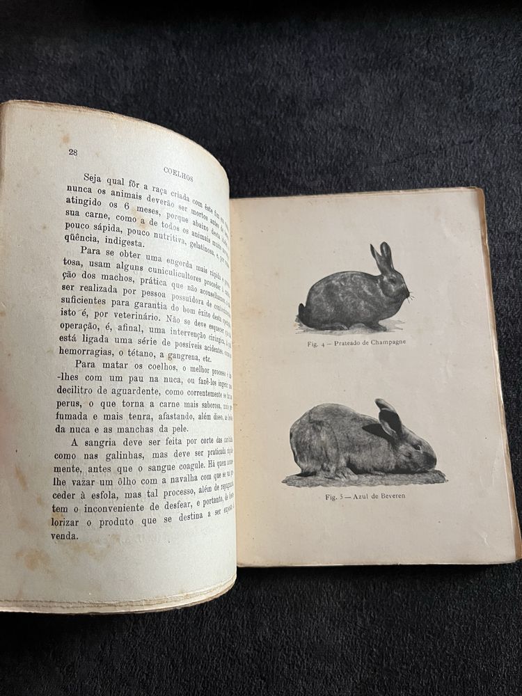 Livro Coelhos Dr. A.Jacinto Pereira 1942