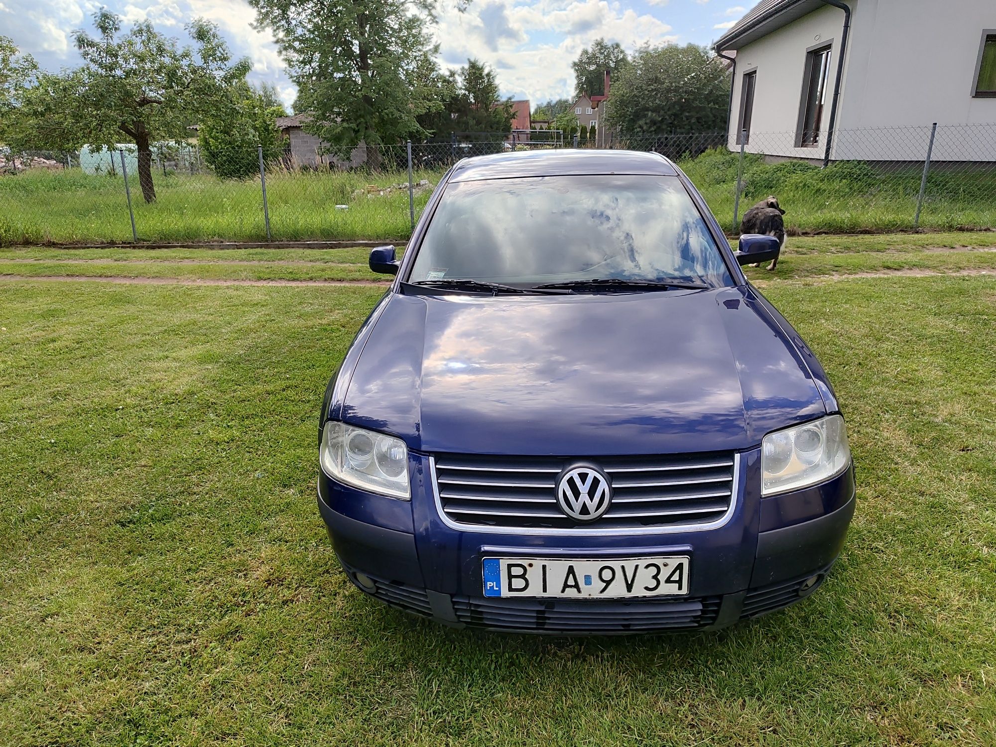 VW Passat B5 TDI 2001