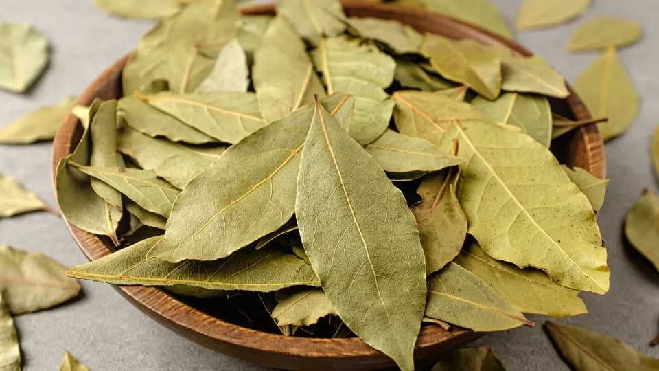 Folhas de Louro 20 G A 1 EURO.