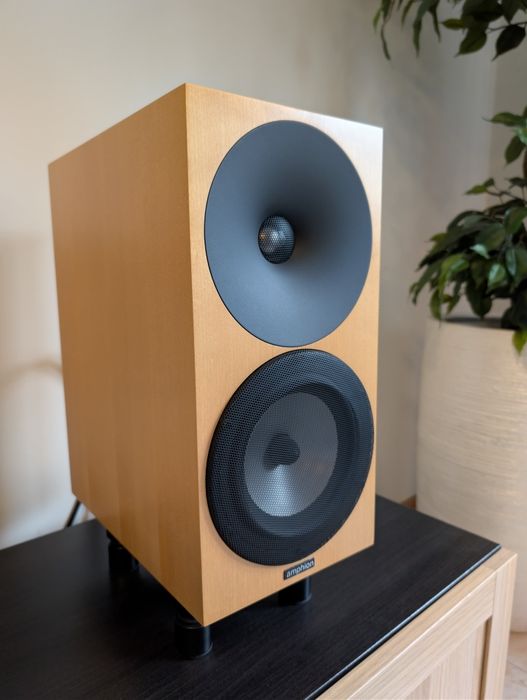 Colunas Amphion Argon 3 Walnut