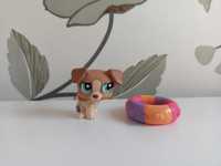 Littlest Pet Shop #1302 jack russell