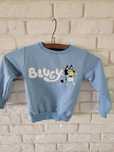 Bluza ,sweter bluey 104