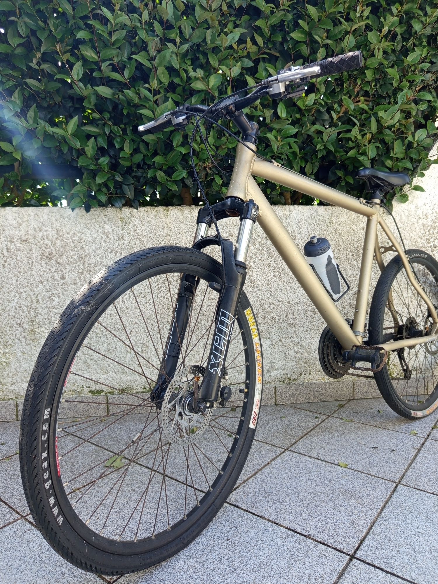 Bicicleta  Coelho Homem