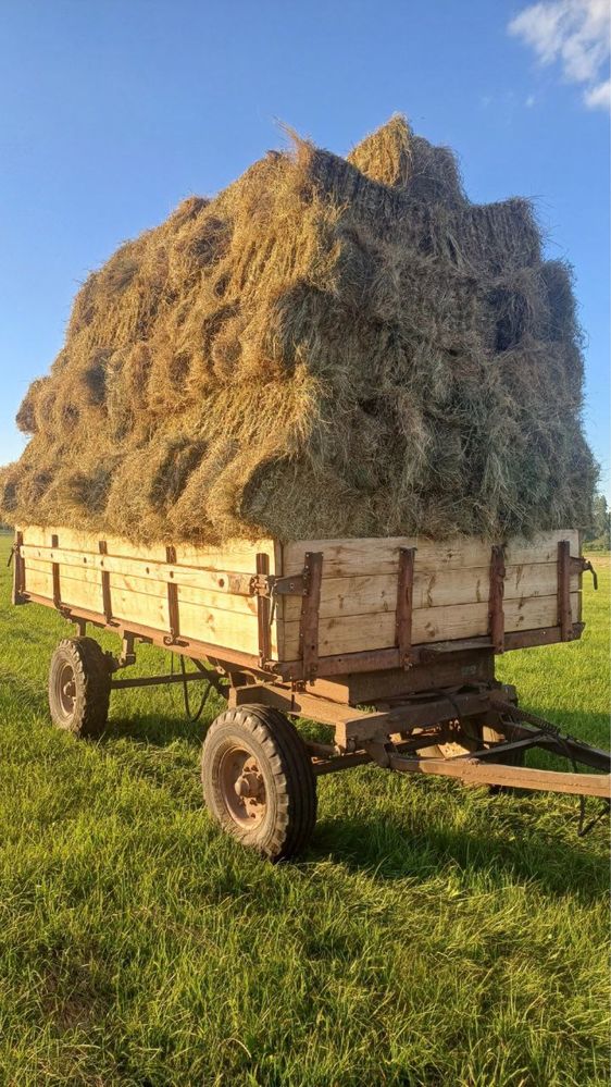 Лугове сіно продам недорого