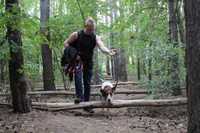Trener szkolenia  psów/ zajęcia indywidualne