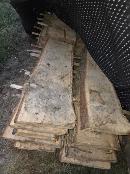 Sprzedam drzewo bukowe