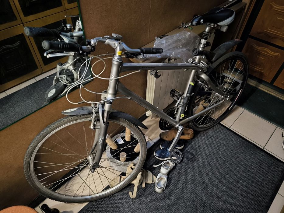 Rower Giant Cypress L