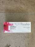 Medicamento Azalia Selado