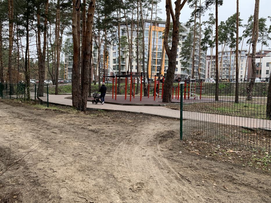 Будинок з великою ділянкою біля лісу Прорізна Буча