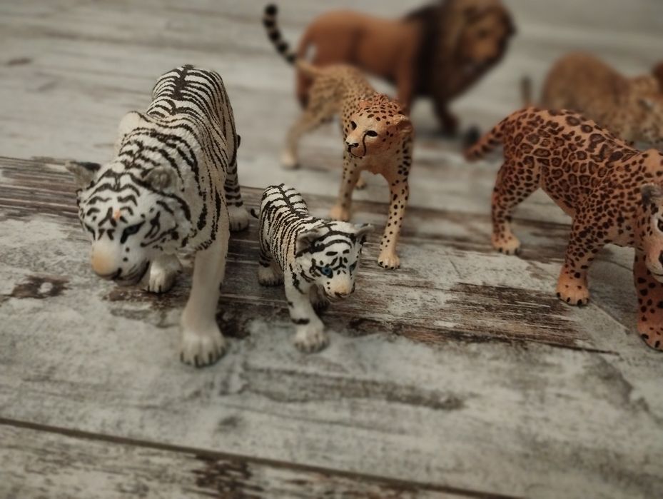 Schleich - figurki dzikich zwierząt 8 szt.: lew, tygrys, lampart