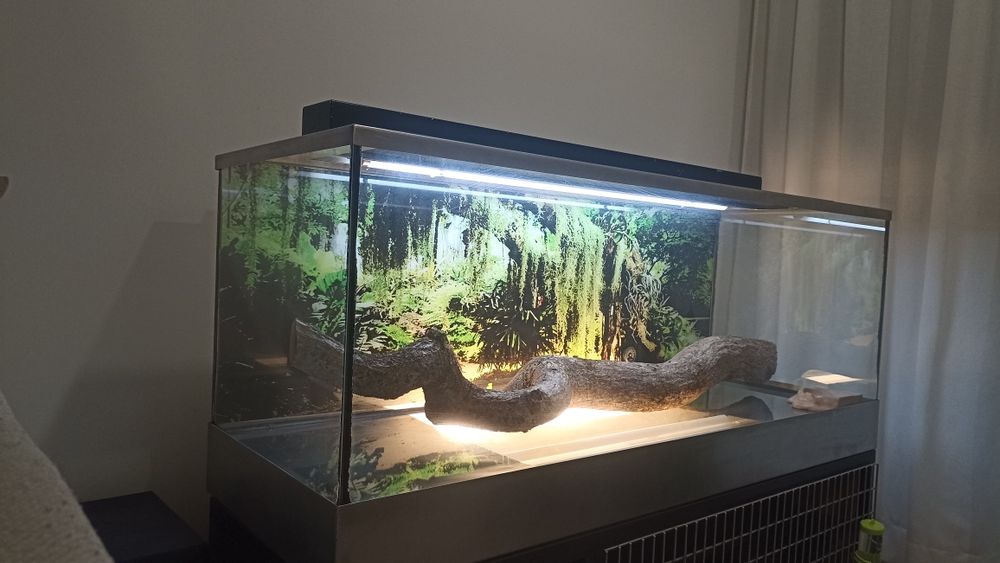 Terrario  para  répteis