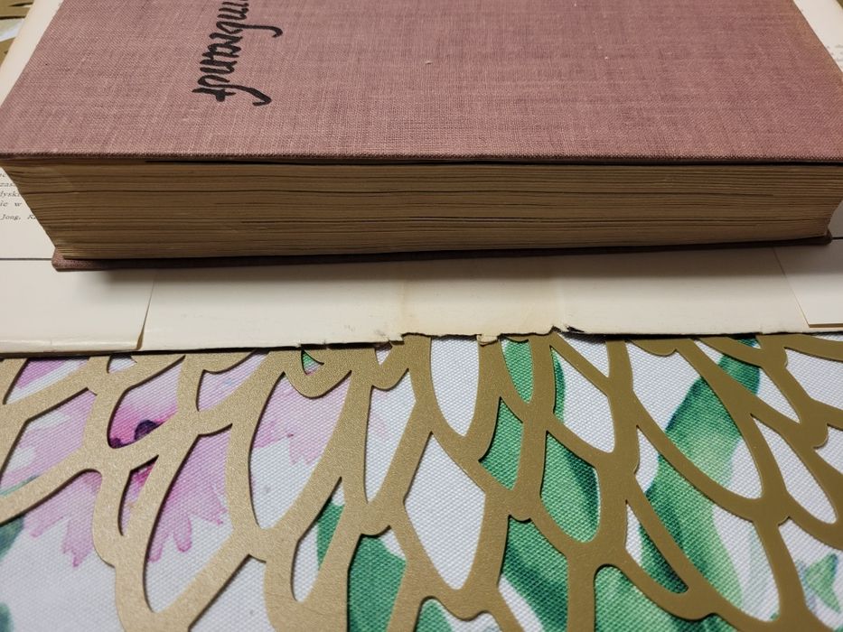 Rembrandt książę malarzy David De Jong