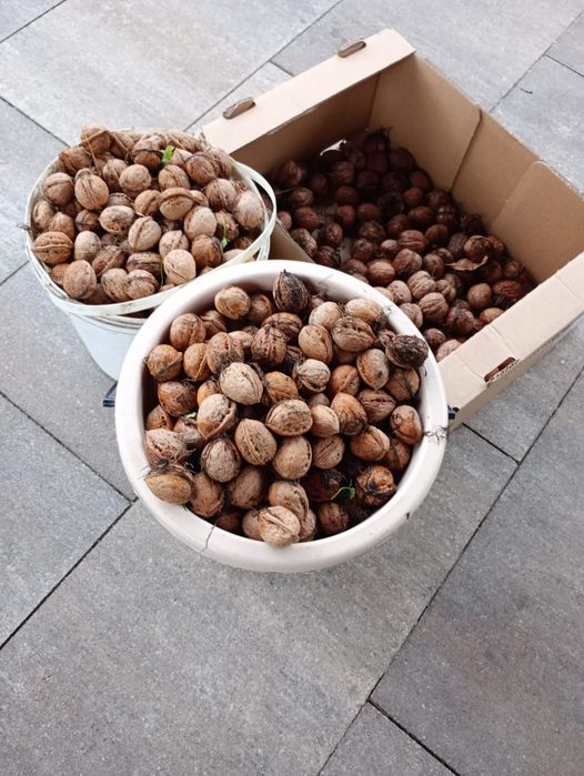 2 orzechów włoskich