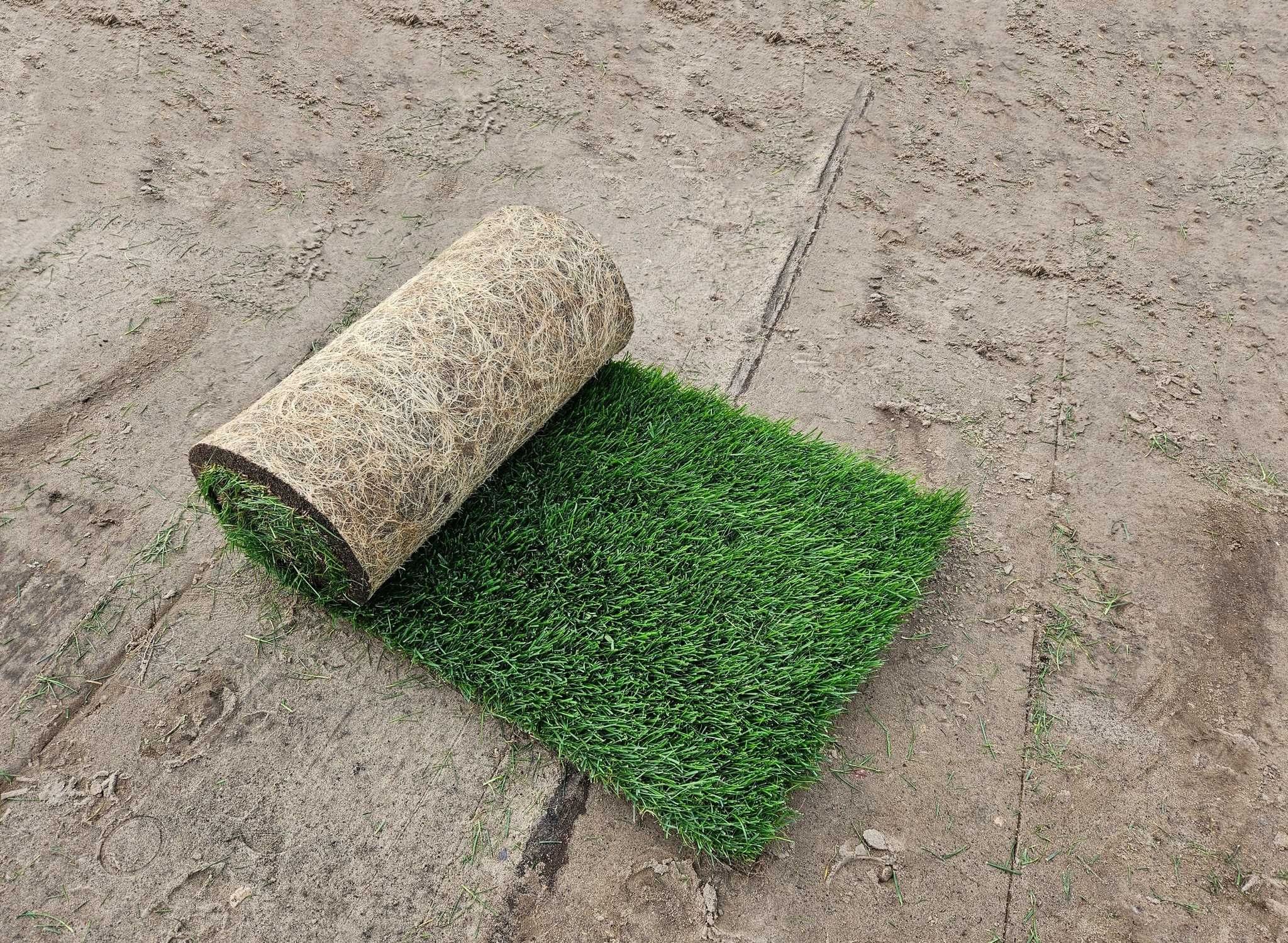 Trawa z rolki - PRODUCENT Bydgoszcz, Toruń, Poznań, Łódź - FOLIA