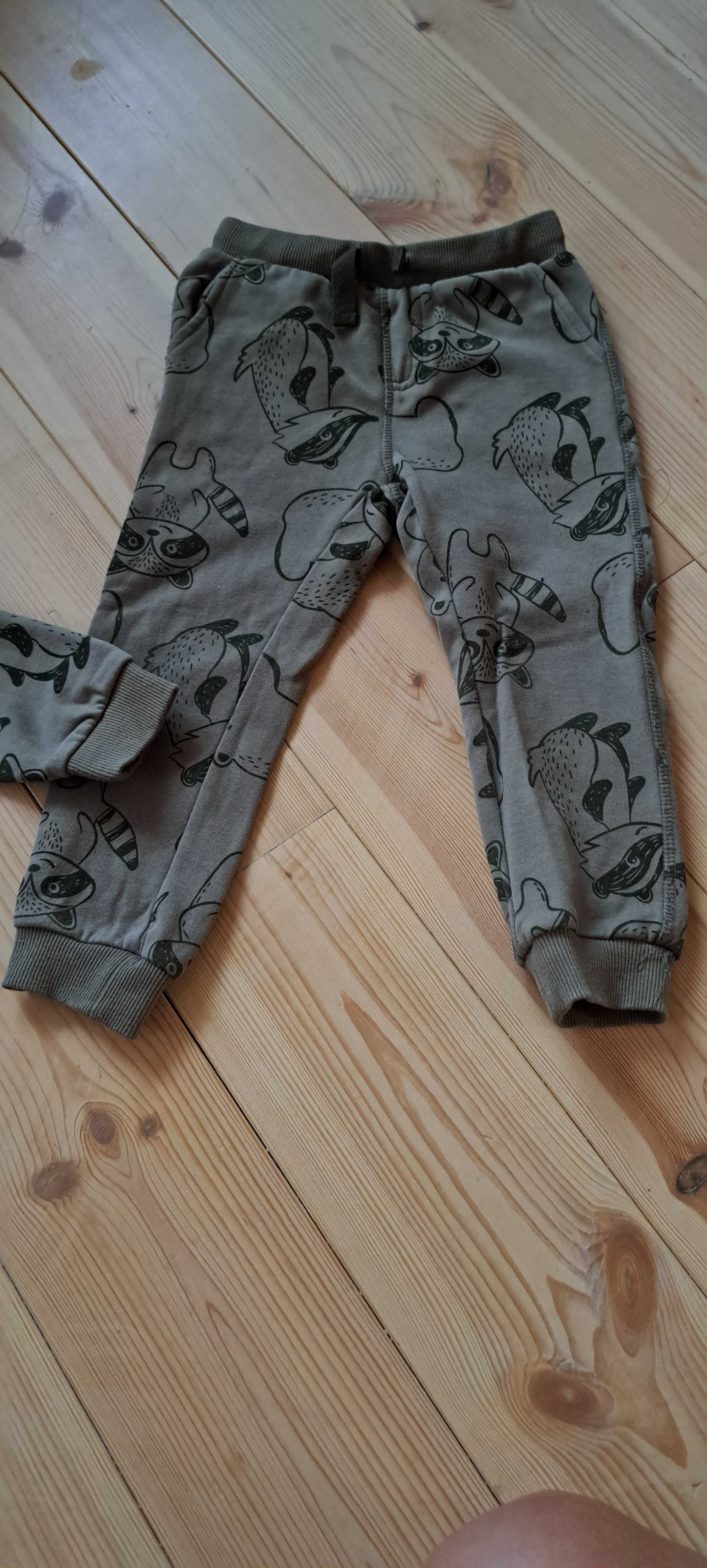 110. COOL CLUB rewelacyjny dres dla chłopca khaki szopy