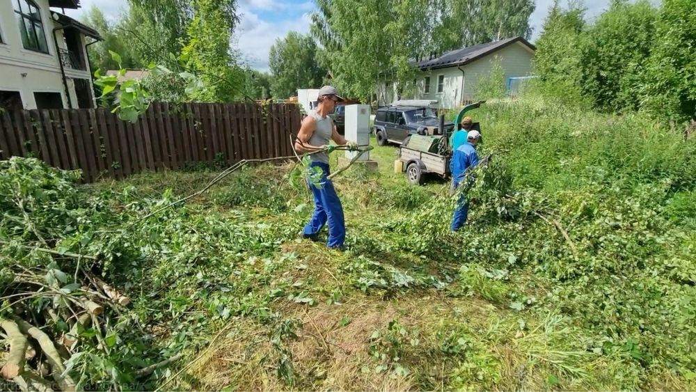 Расчистка участка. Розчищення ділянки. Уборка територии. Вывоз мусора