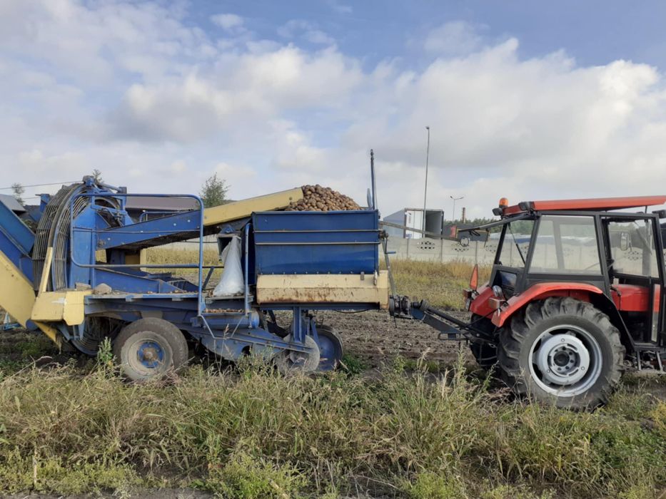 Kombajn do ziemniaków anna /grimme