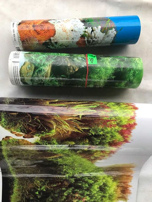 товары для животных , птиц, рыб и улиток