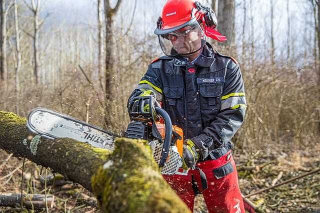 Szkolenie, kurs wózki widłowe, jezdniowe od 349 zł