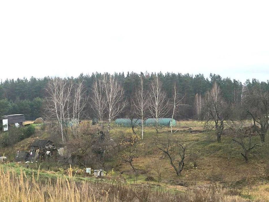 Продам будиночок неподалік є озера та ліс.Від Києва 25км.