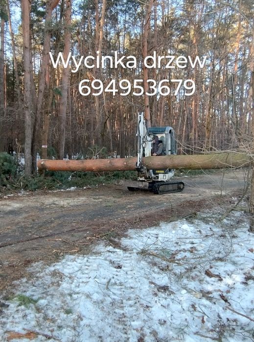 Usługi ogrodnicze wycinka drzewi wiaty