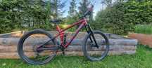 Trek remedy 7 2022