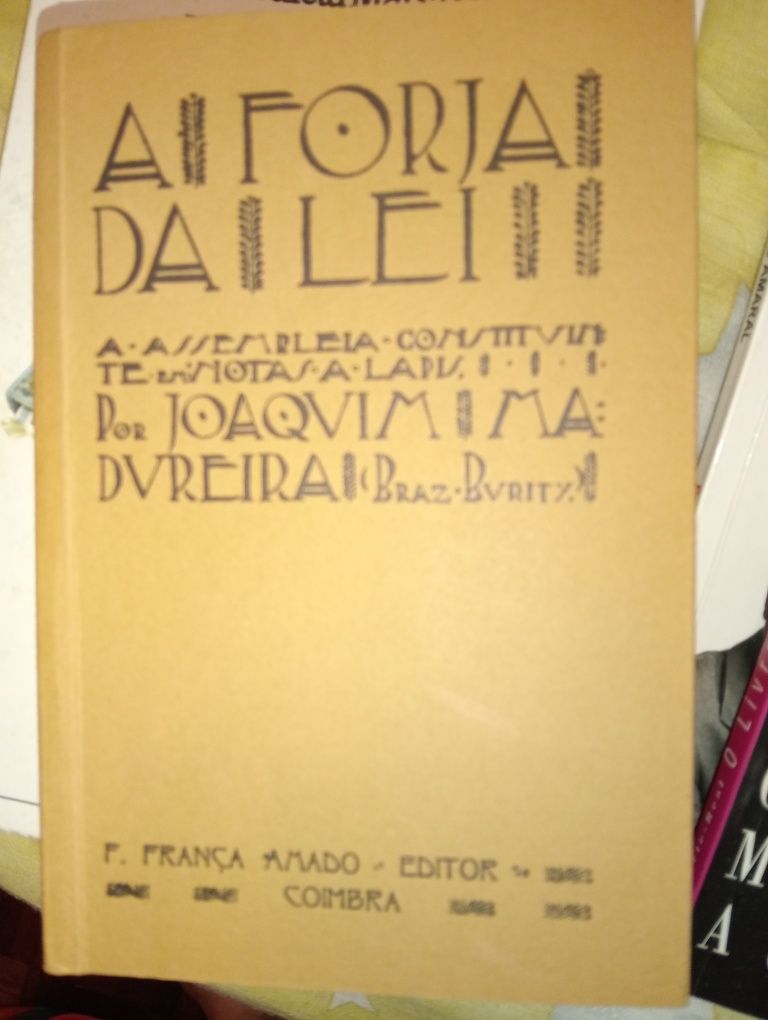 A forja da lei a assembleia constituinte em notas a lápis