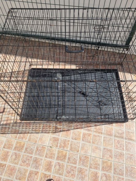 Gaiolas em metal/ Casota em plástico