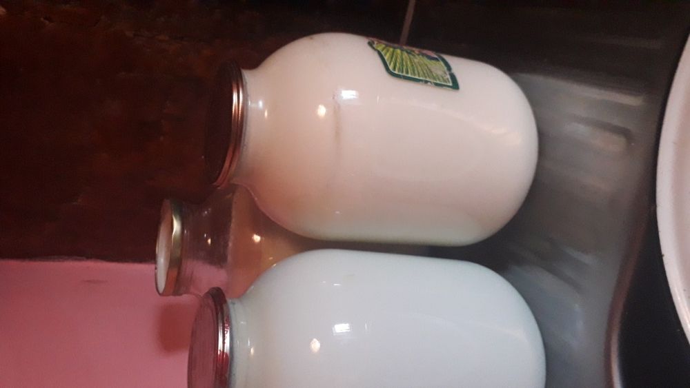 Продам корову стельную