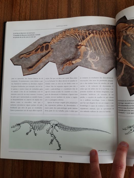 O Livro dos Dinossáurios do museu de história natural de Londres