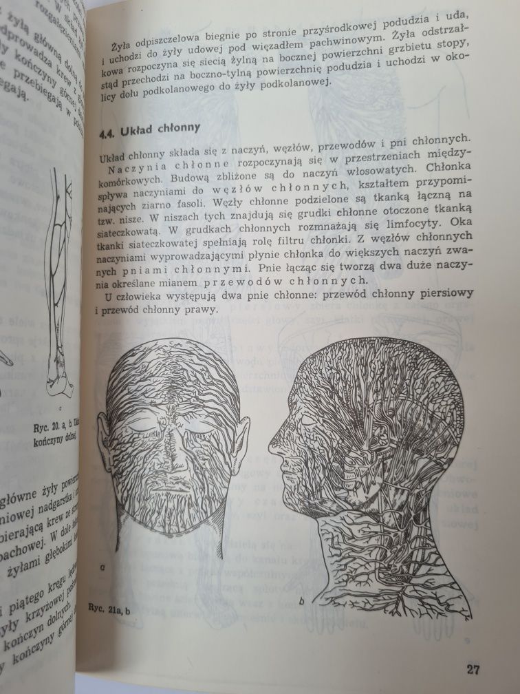 Podstawy masażu leczniczego - Zygmunt Prochowicz. Książka