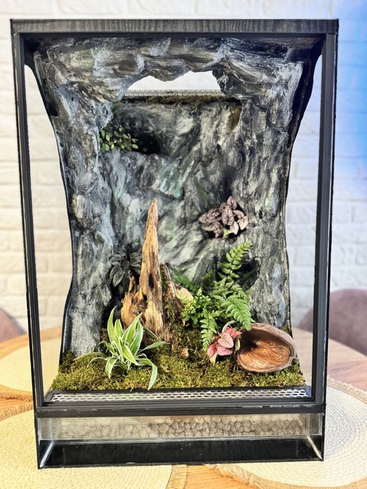 Terrarium tropikalne 40x40x60 idealne dla gekona