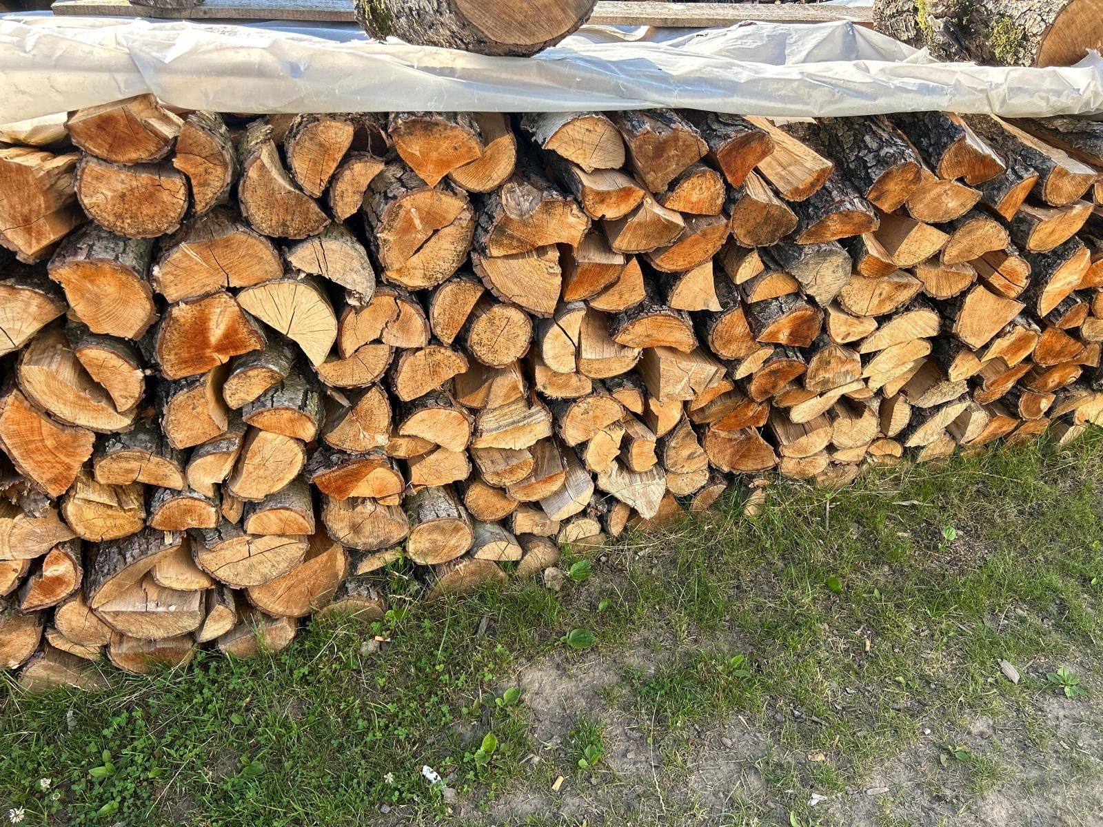 Drewno kominkowe /opałowe
