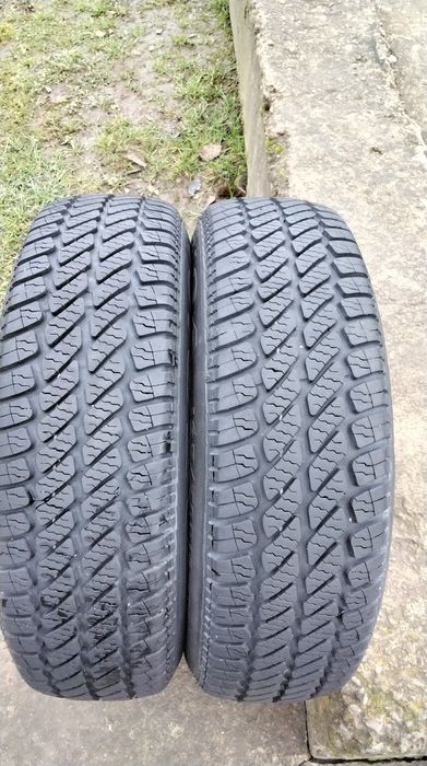 Шини 165 70 13 DEBICA