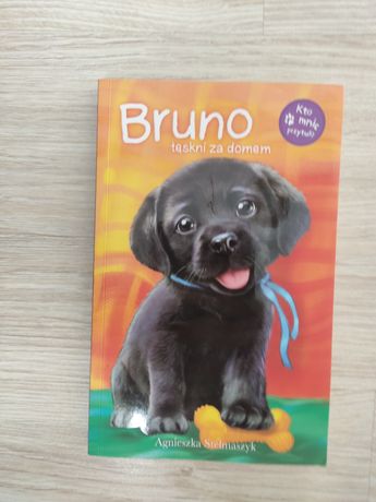 Książka "Bruno tęskni za domem"