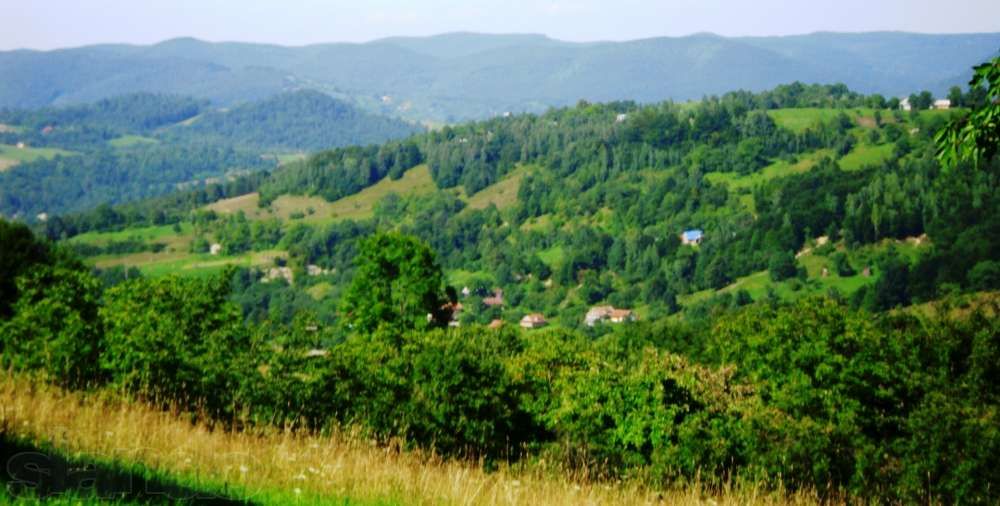 Дім в Карпатах с.Акрешори